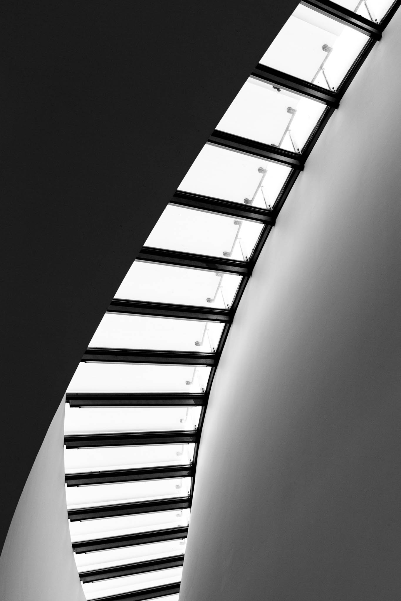 Black and white curved skylight with metal support beams, creating a modern architectural design.