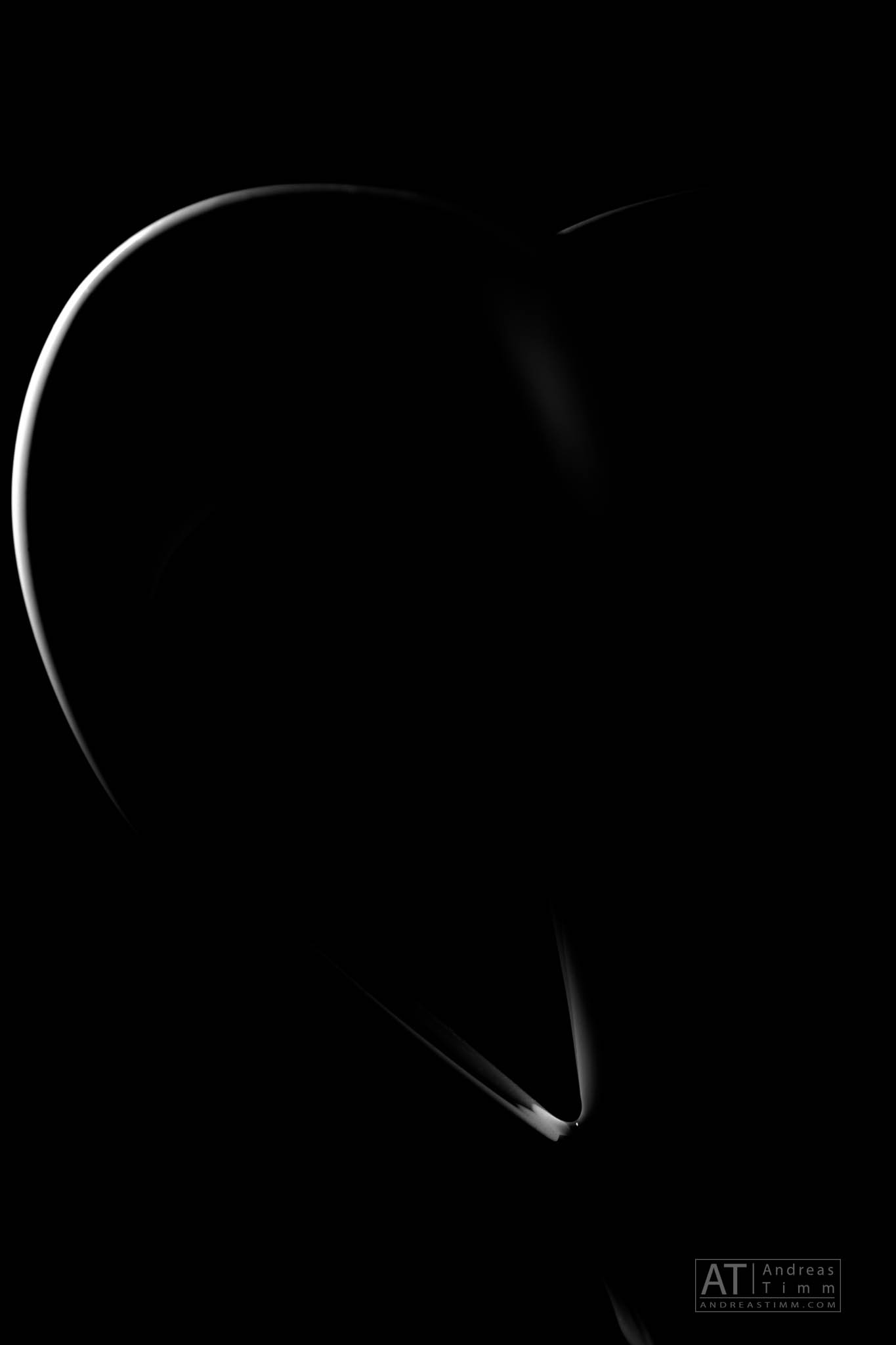Abstract black and white image with elegant curved lines on a dark background.