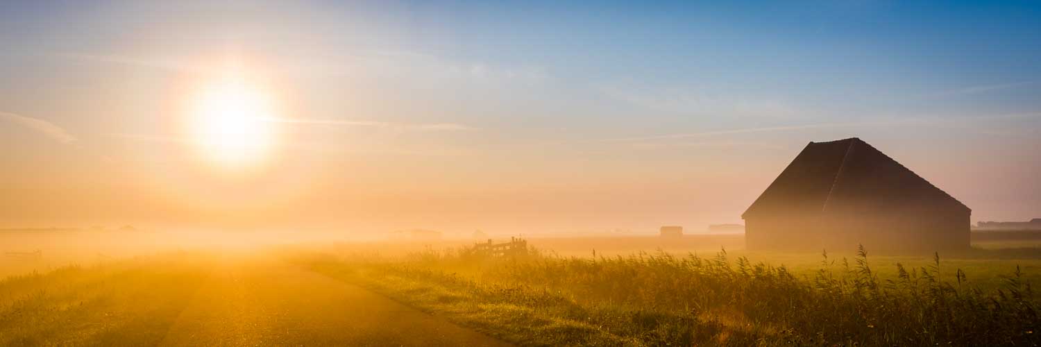 Sunrise over a misty field with a solitary barn, casting a warm, golden glow on the landscape.