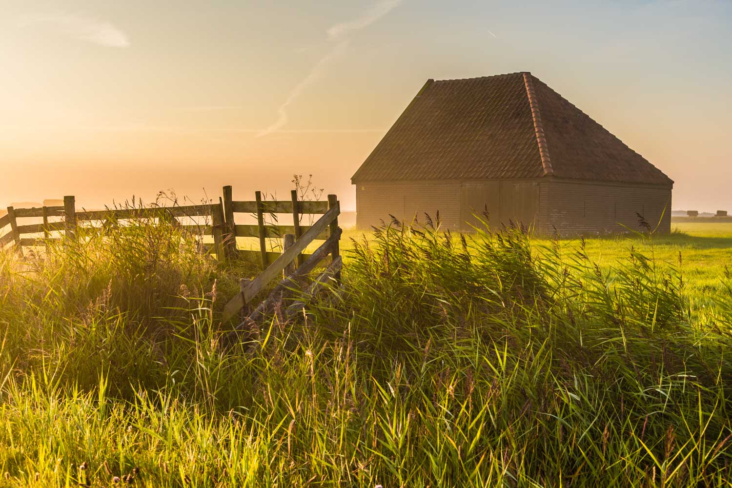 Sunlit barn with grassy field and wooden fence in a serene countryside landscape.