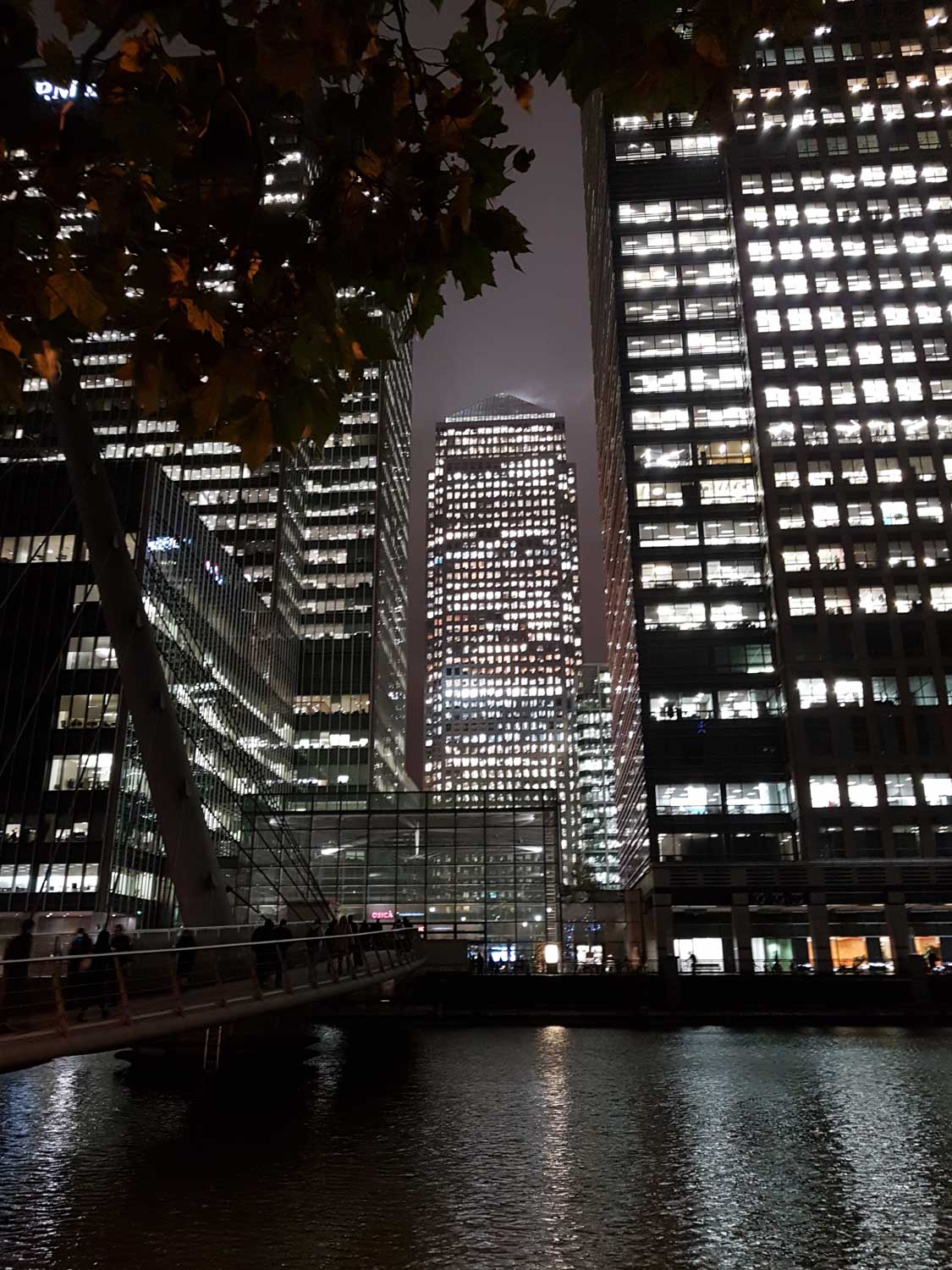 Night view of illuminated city skyscrapers over water, with a bridge and autumn leaves in the foreground.