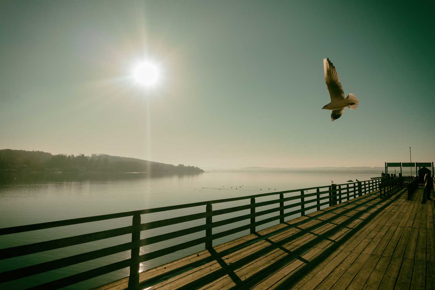 Seagull flying over a sunny pier with tranquil water and distant hills in the background.