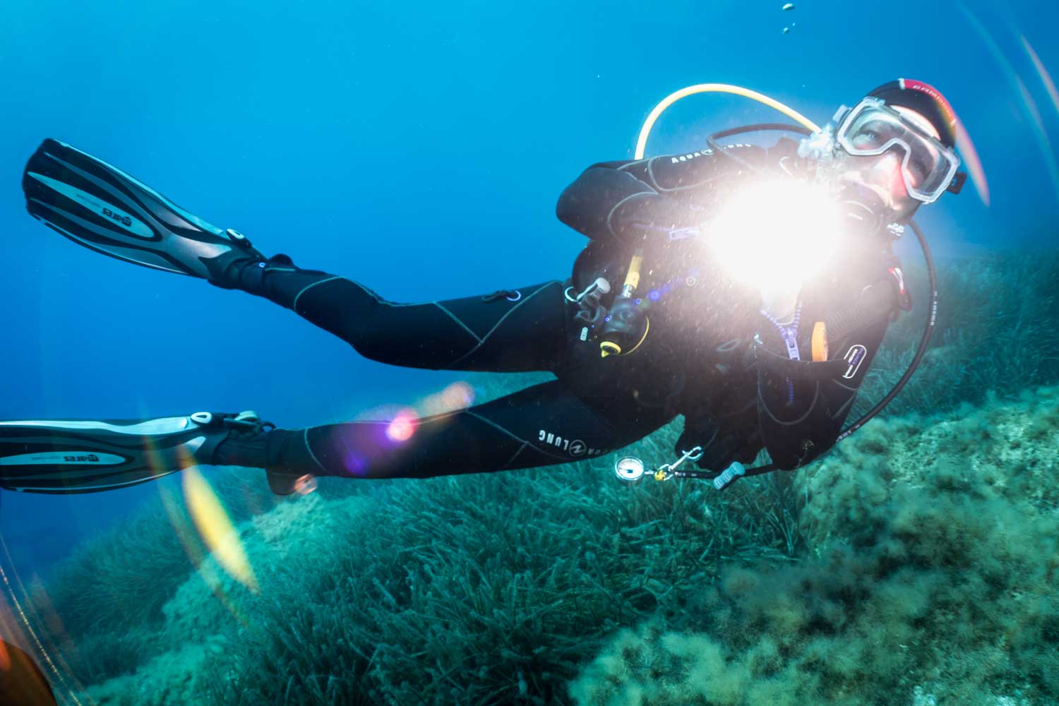 Scuba diver in dark wetsuit explores underwater seaweed with camera flash in clear blue ocean waters.