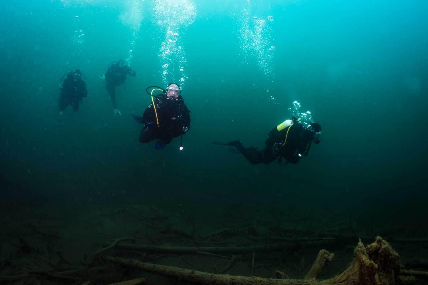 Four scuba divers exploring underwater with flashlights, surrounded by aquatic vegetation.