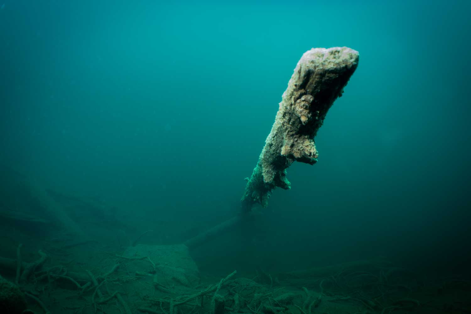 Underwater shipwreck with algae-covered wooden mast in murky water, surrounded by debris and sediment.