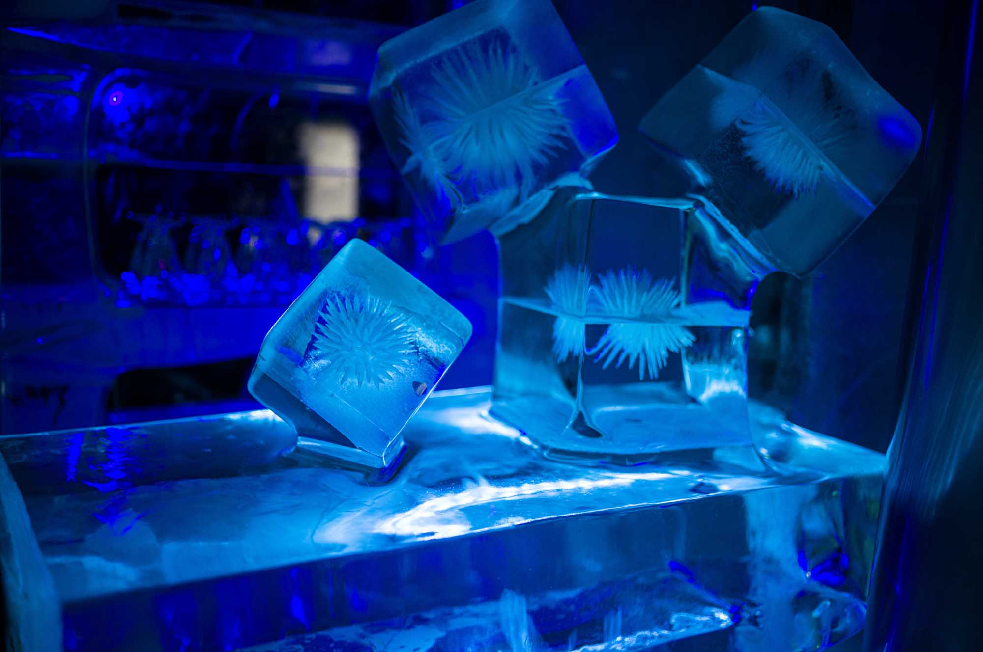 Close-up of clear ice cubes with floral patterns under blue lighting.