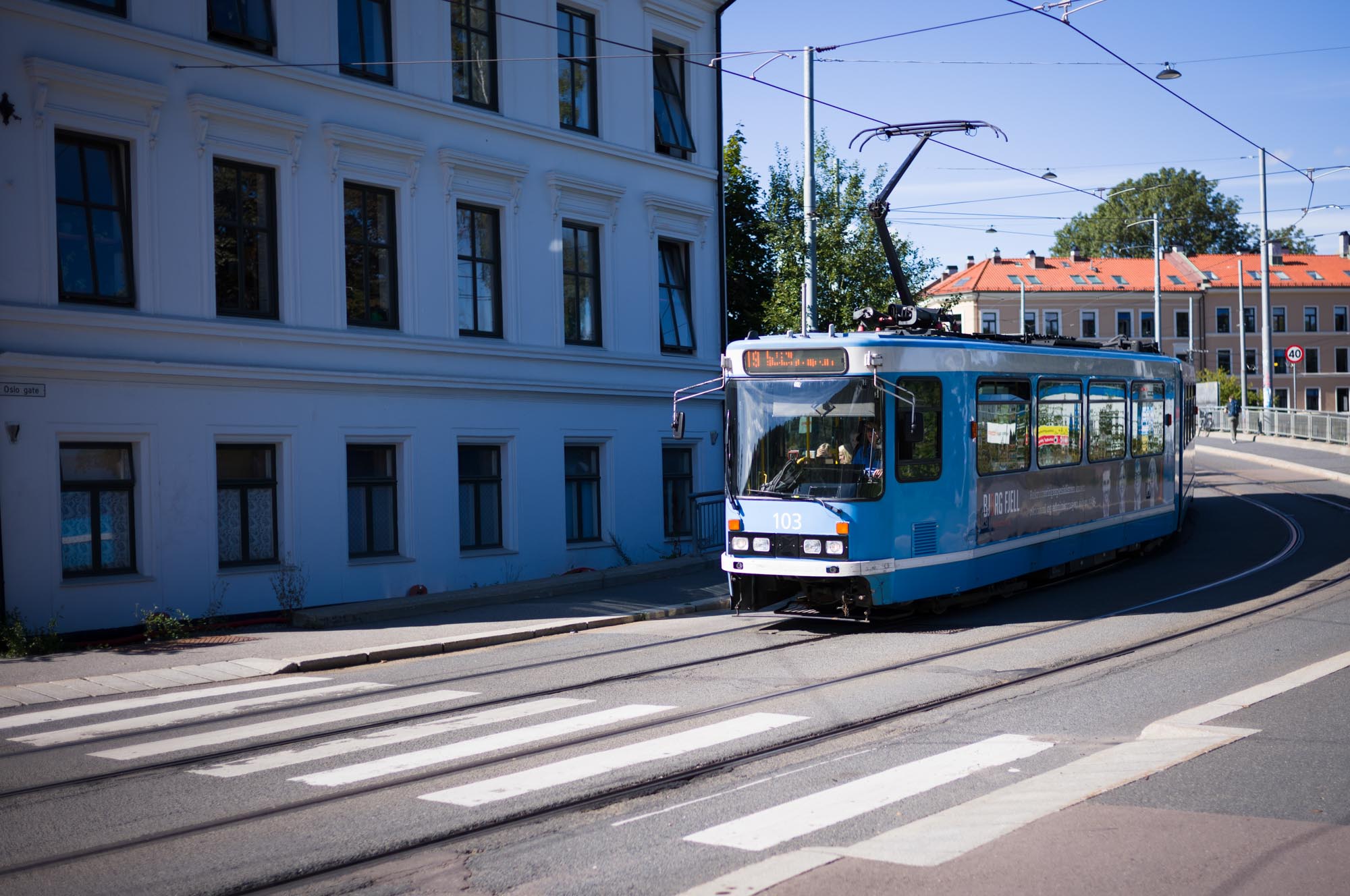 Blue tram number 103 traveling on sunny street near white building, surrounded by suburban architecture.