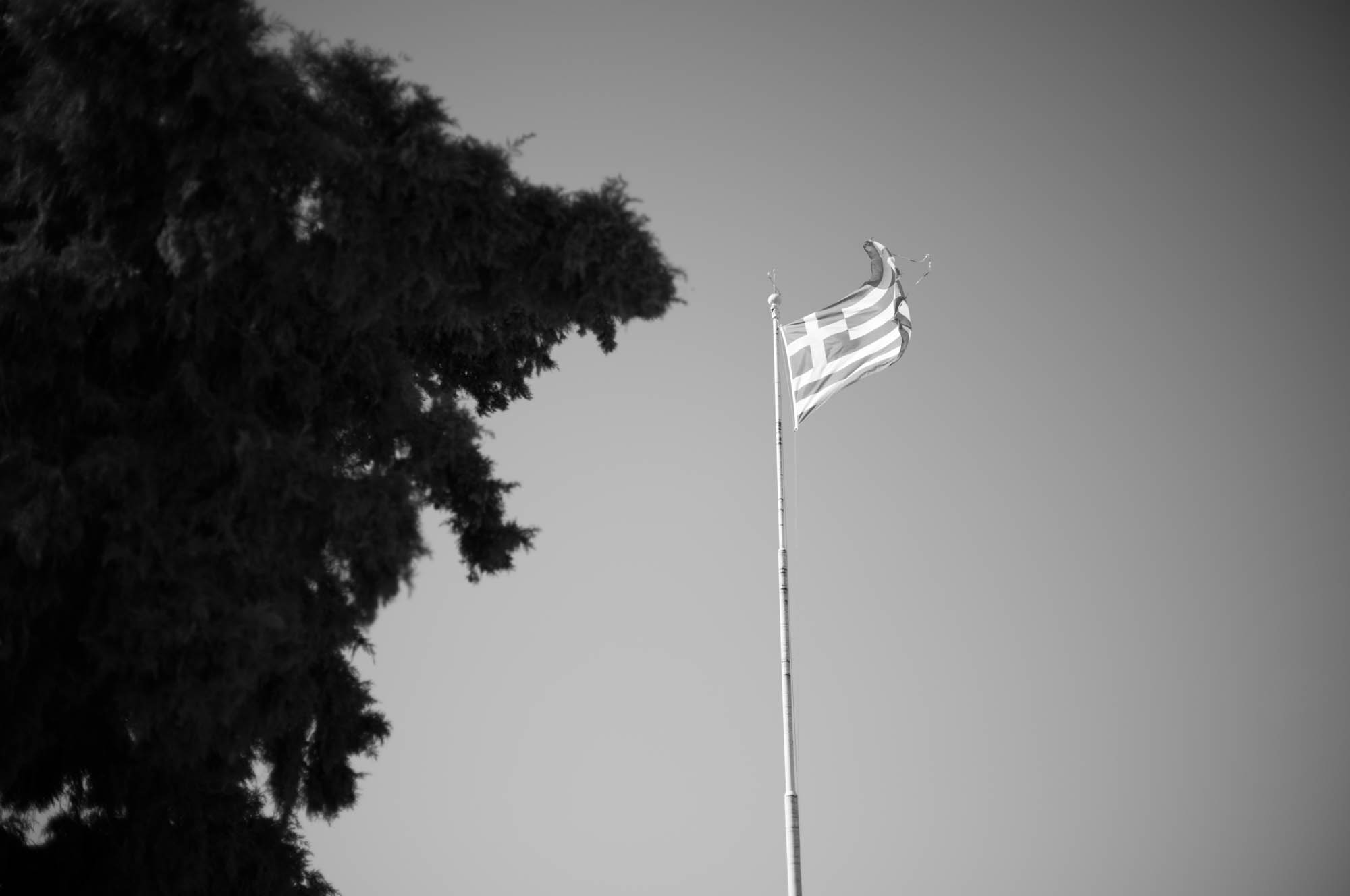 Greek flag flying high against a clear sky beside a lush evergreen tree. Black and white image captures serenity.