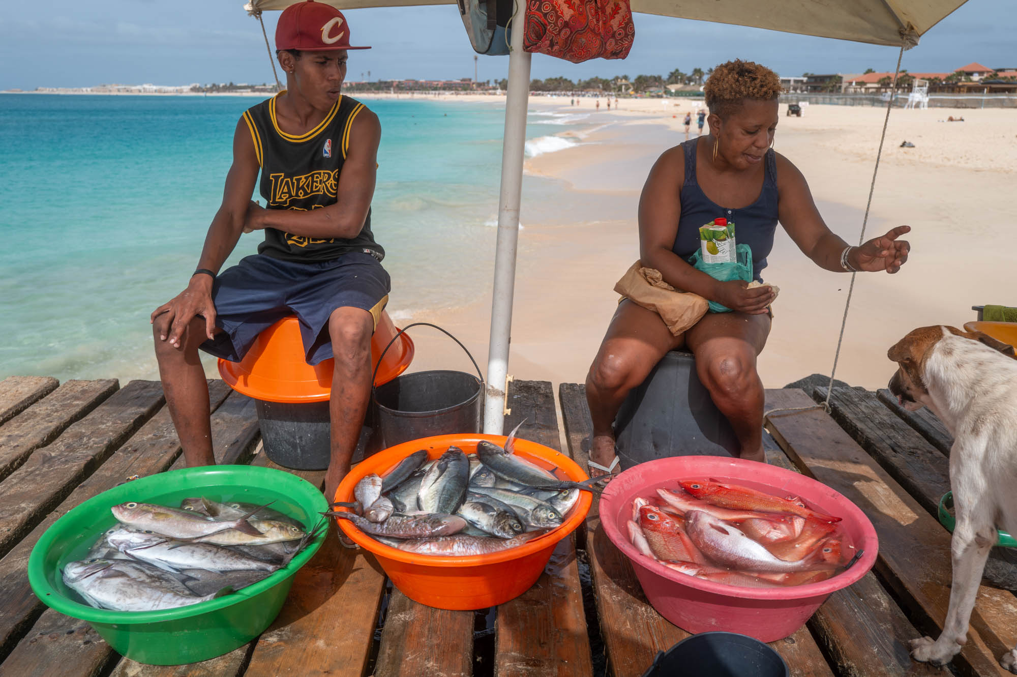 Beachside fish market with vendors and colorful bowls of fresh fish under a canopy on a sunny day.