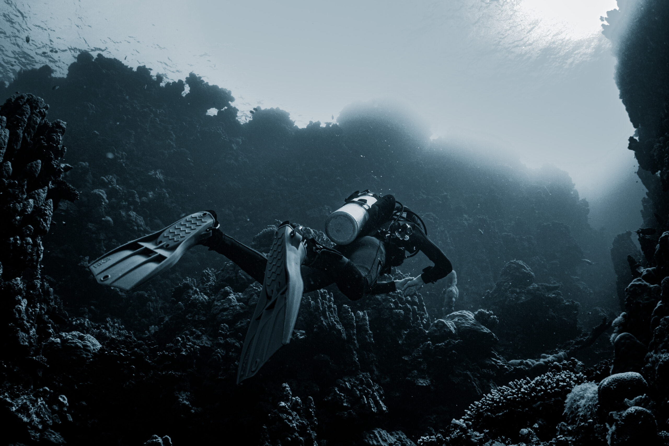 Scuba diver exploring underwater coral reef landscape in deep blue ocean scene.